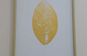 Ria de Vigo hasta 8 huespedes - Foto 2