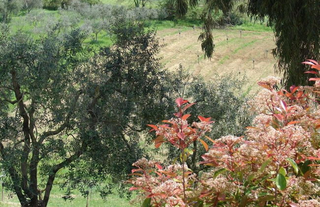 Agriturismo Terrasabina - Foto 55