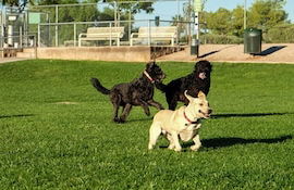 2 BR con patio por el centro comercial - Foto 80