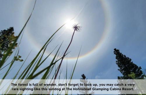 The Ranch Hand Cabin at The Hohnstead - Foto 42