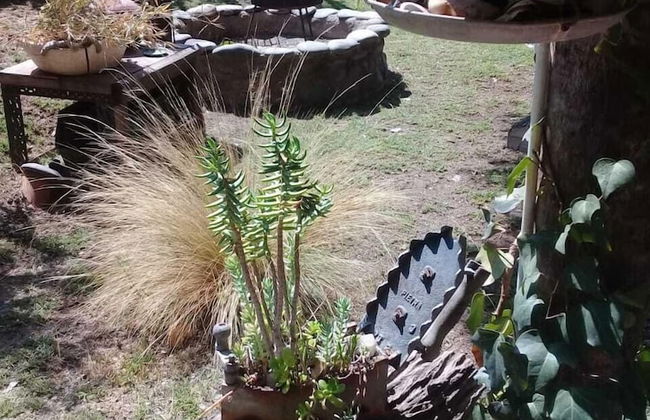 Dark Green House - Chacras de Coria - Photo 34