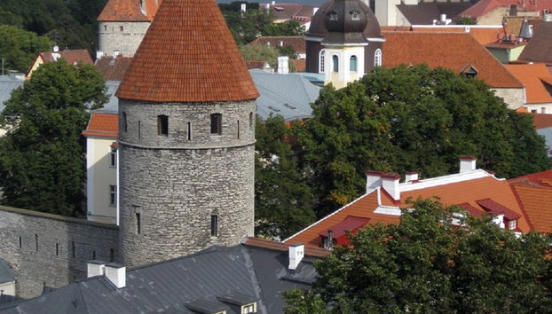 Tour a piedi alla scoperta del centro storico - Foto 2
