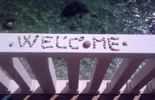 Apartments Ivica Mateljak - Foto 15