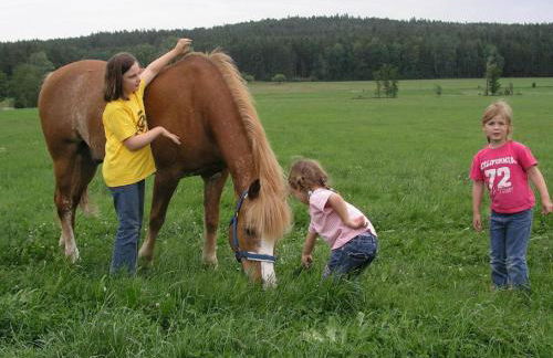 Wofahanslhof - Foto 8