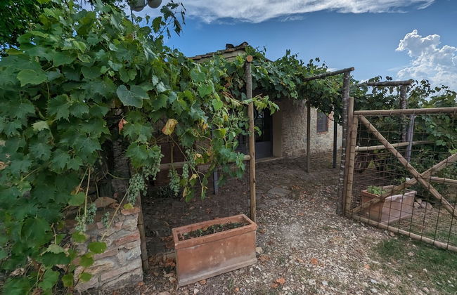 Podere Spedalone - Photo 71