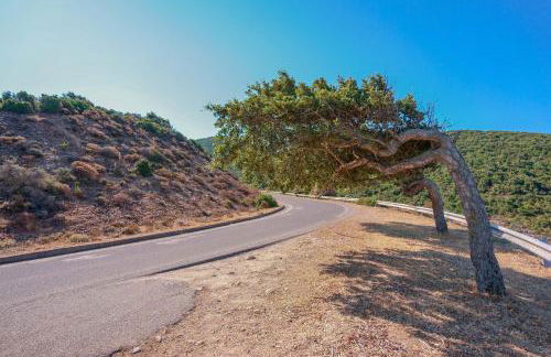 L'Oasi del Cervo - Foto 34