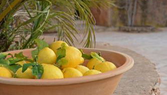 Agroturismo Sa Pletassa - Foto 4, Garden, Garden view