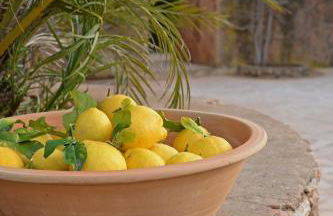 Agroturismo Sa Pletassa - Foto 4