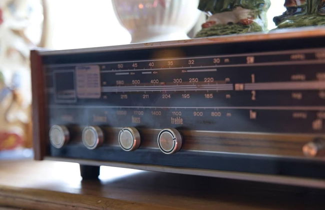 a Quirky Garden Building in an Orchard - Photo 12