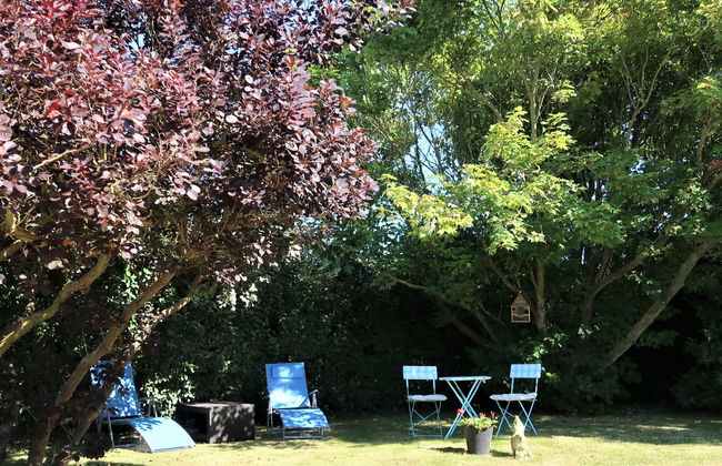 Les Hortensias - Foto 19