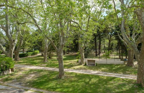 Mas 9 Romanin - Mas Provençal Familial - Foto 28