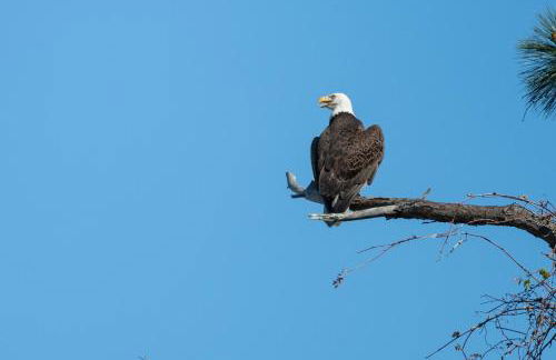 The Beachwalker ISLAND RETREAT - Foto 18