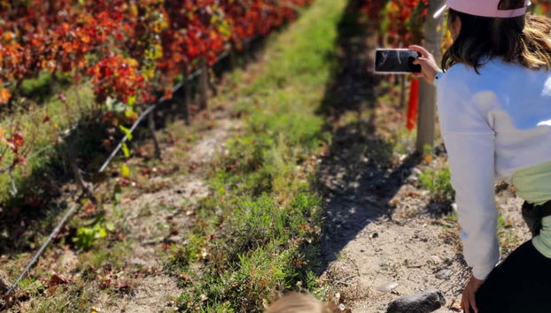 Neuquén Wineries Tour - Foto 2