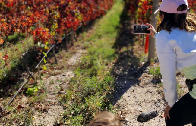 Visite à la découverte des domaines viticoles de Neuquén - Photo 2