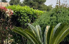 Ellie's house Theologos - Foto 24