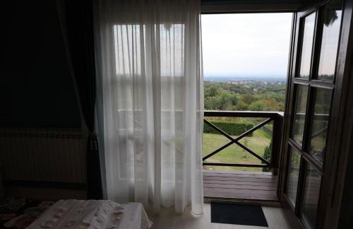 Villa Wolf Castle - vanjski grijani bazen 365 dana i pet friendly - Foto 47