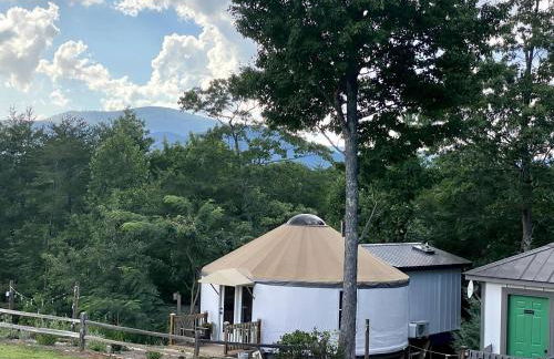 Mill Spring Glamping Yurt near Asheville, North Carolina - Foto 10