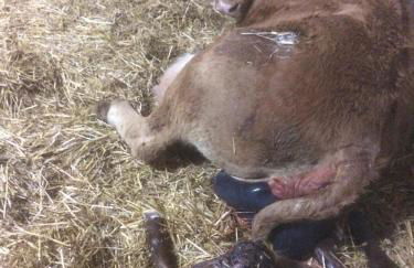 Casa Rural El Ribero II - Photo 22