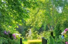 Ferienhaus-petertilo - Foto 14