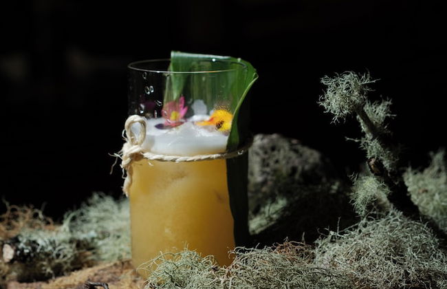 Furnas Lake Forest Living - Photo 65