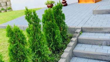 Wellness Ferienhaus - Photo 4