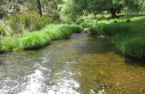 Casa de la Panadería - Foto 22