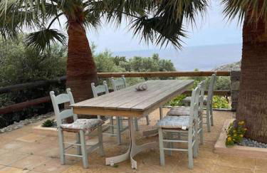 Souda’s nest - Photo 1