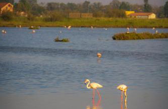 Residence Eden - Foto 29