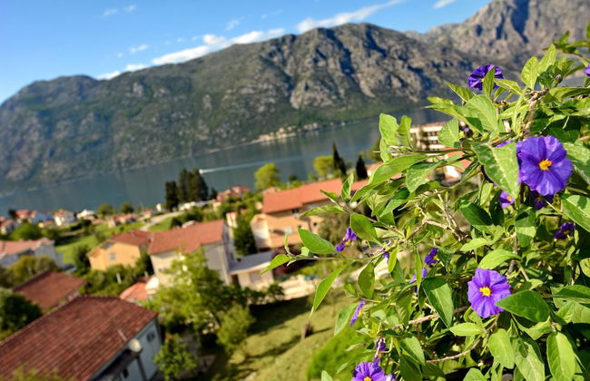 Apartments Soso - Foto 60