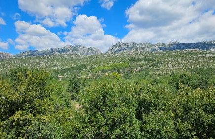 Apartments Gardelin Paklenica - Photo 37