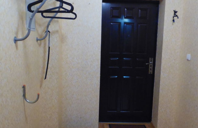 Apartment on Mashinistov - Foto 7