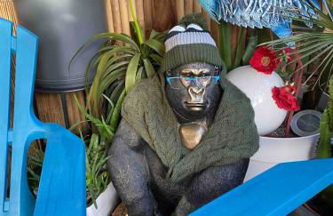 Les jardins de Diana - Foto 34