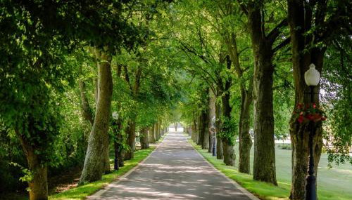 S Golf Apartament - Foto 3, Garden view