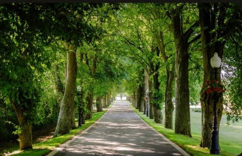 S Golf Apartament - Foto 3