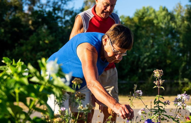 Haga Park Camping & Stugor - Foto 55