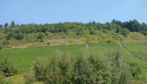 Ferienwohnung Burgenblick - Foto 3