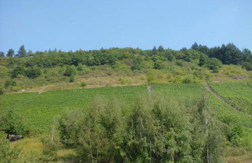 Ferienwohnung Burgenblick - Foto 3