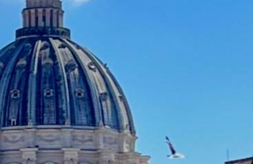 Catherine's Home - Foto 15