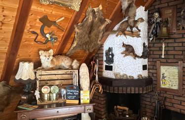 Gemuetliche-Ferienwohnung-Nr-2-im-Harz-fuer-max-3-Personen - Foto 19