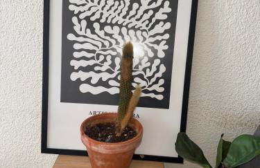 Green Plants 24 7 Check In 4 Persons - Foto 11