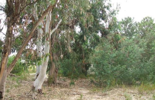 Résidence Santa - Foto 26