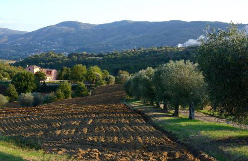 I Casali Di Colle San Paolo - Foto 40