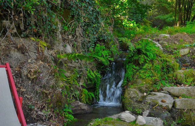 Treehouse Quinta Lamosa - Foto 15