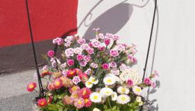 Ferienhaus am Flaumbach - Foto 4, Lobby or reception