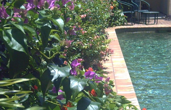 Mid City Luxury Suites - Photo 24