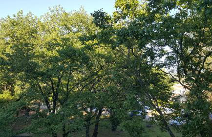 Apartment Matilda - Foto 38