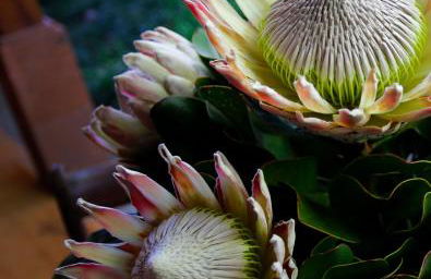 Dazkarizeh73 - Photo 49