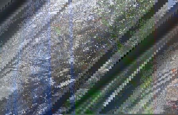 Beautiful Lux Apartment Chianti Firenze Area Italy - Photo 52