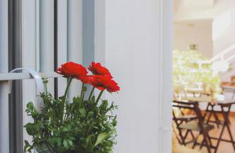 Apartamentos entreRíos - Foto 16