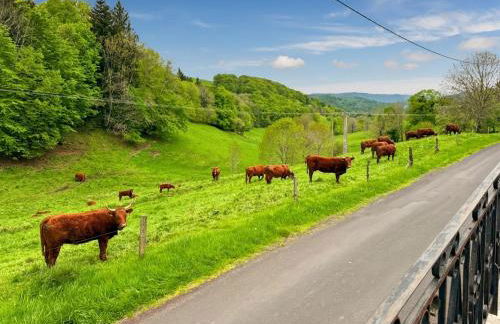 Maison au cœur de la vallée du Cantal - 2pers - Photo 20